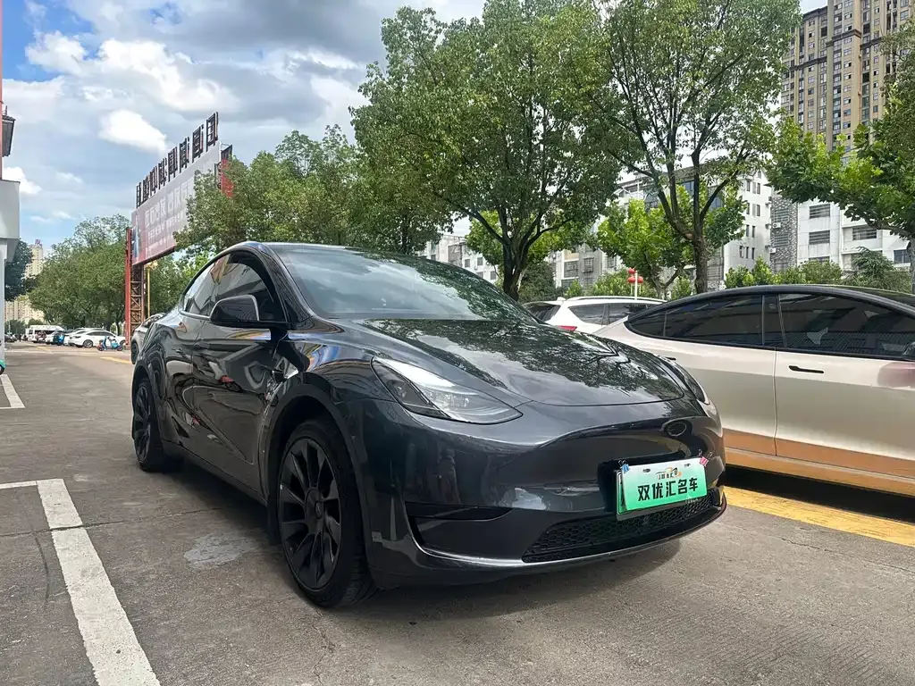 Tesla Model Y — фото 8
