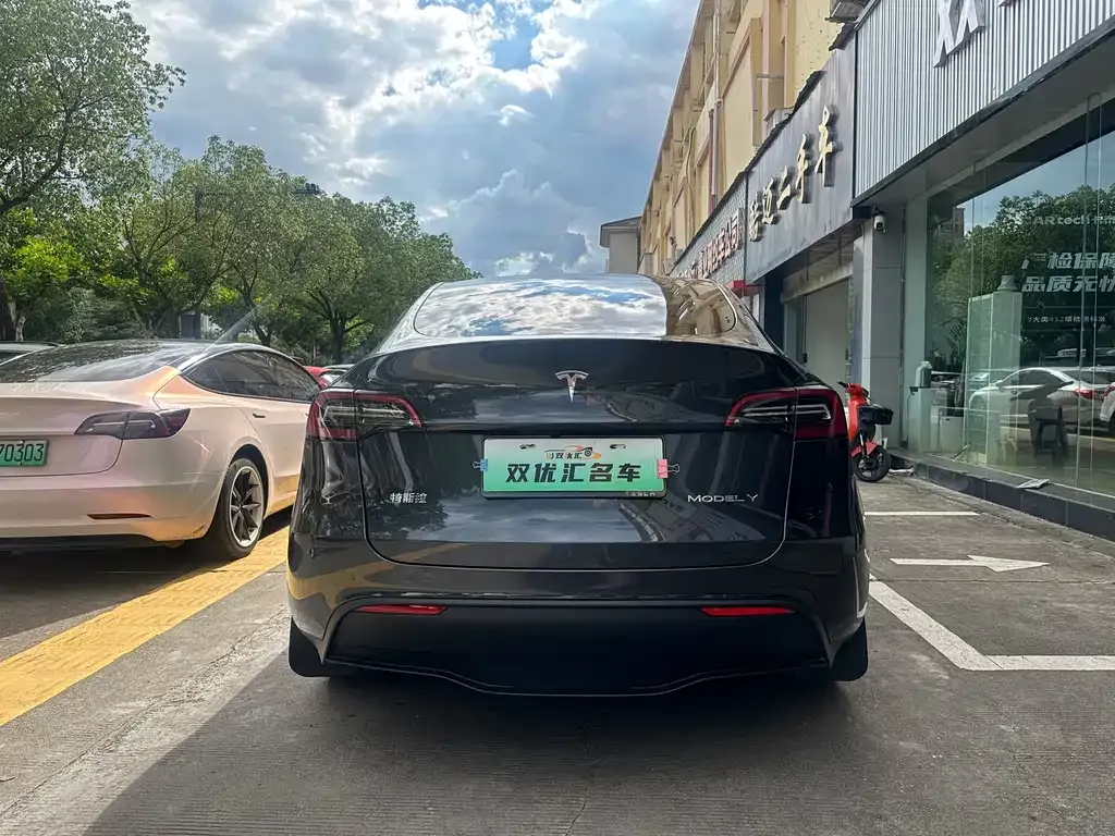 Tesla Model Y — фото 9