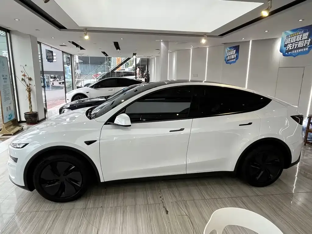 Tesla Model Y — фото 2