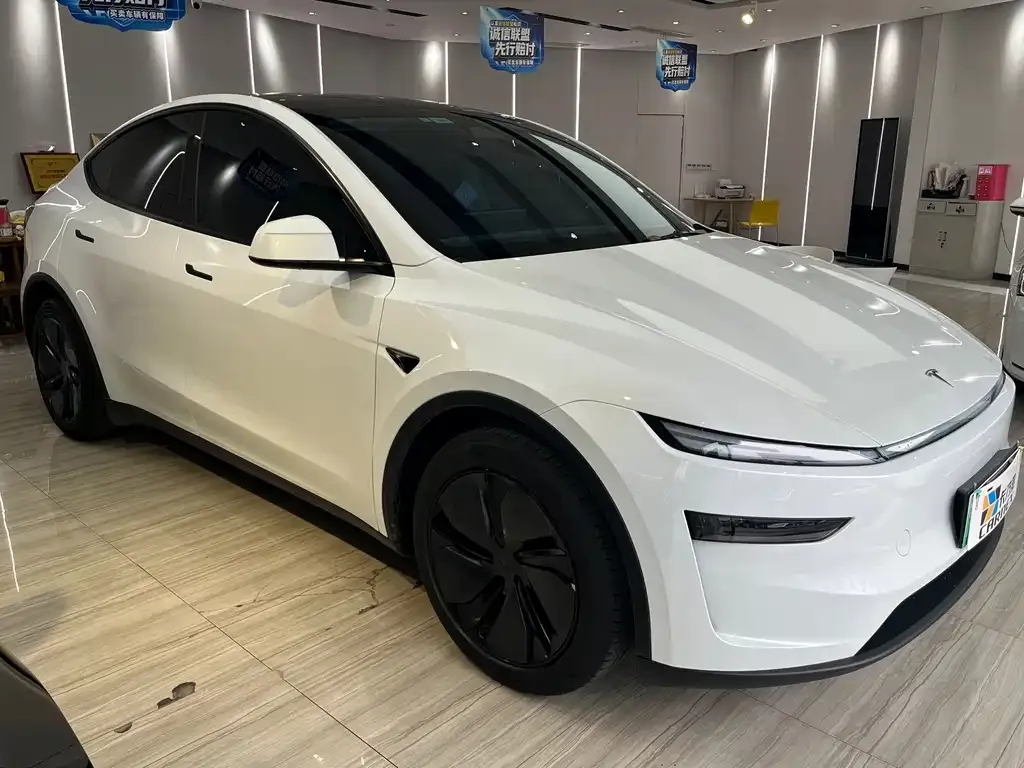 Tesla Model Y — фото 3