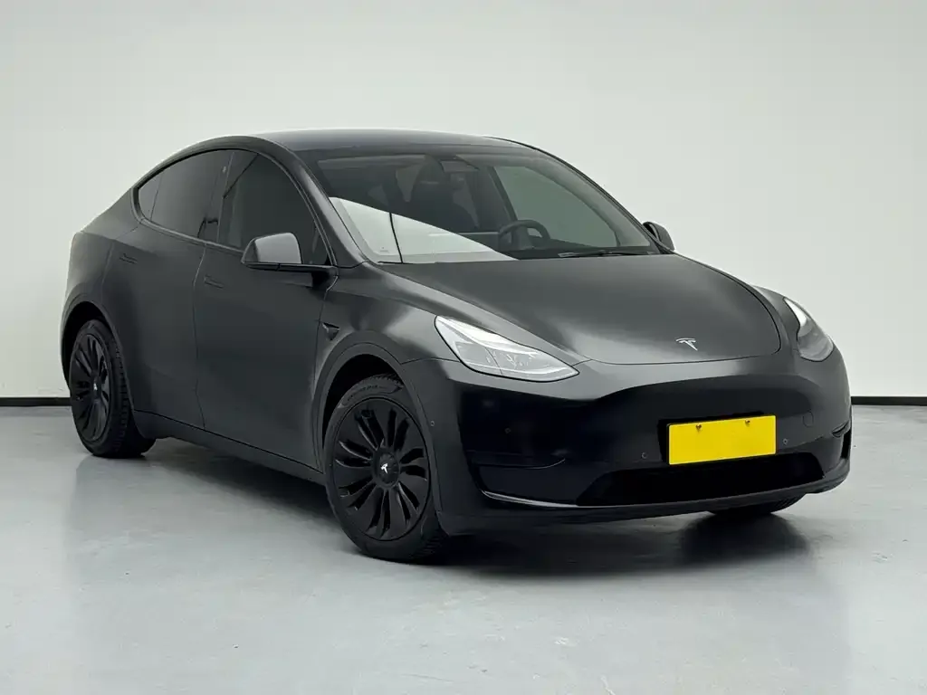 Tesla Model Y — фото 2