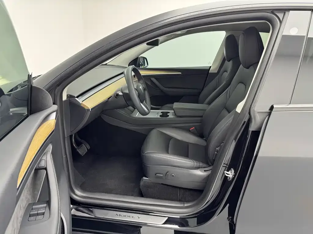 Tesla Model Y — фото 10