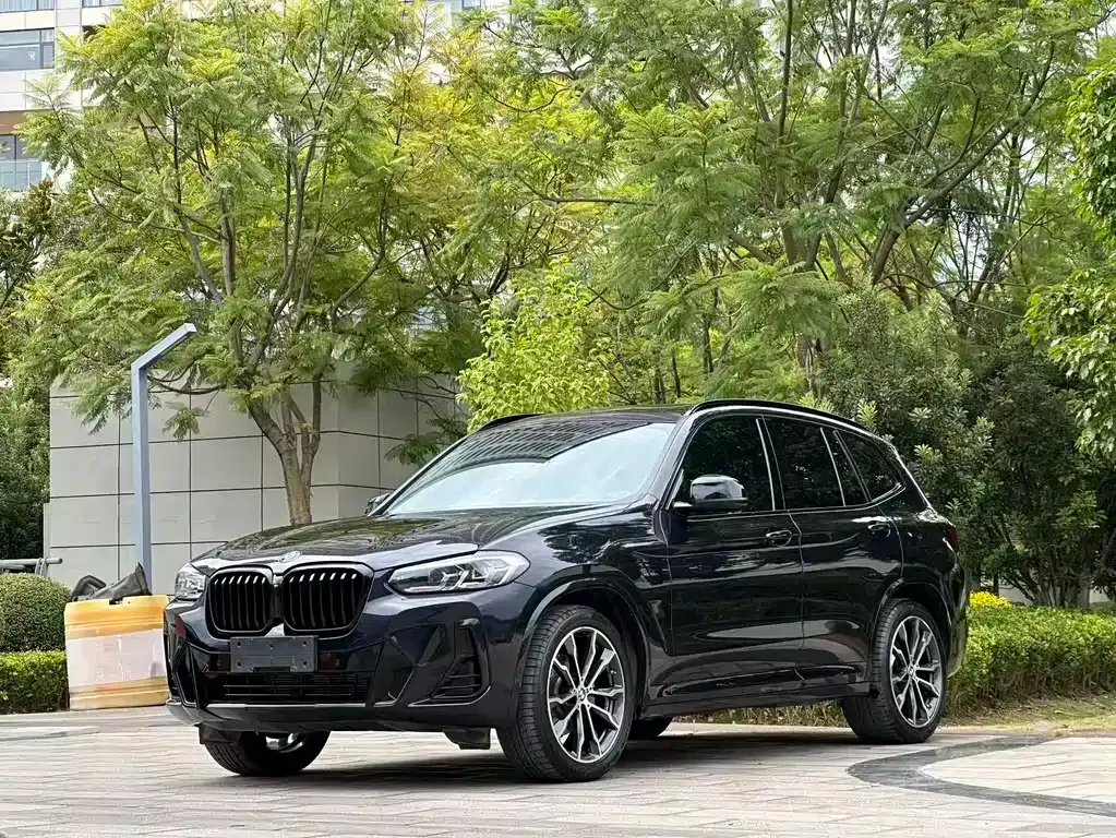 BMW X3 — фото 1