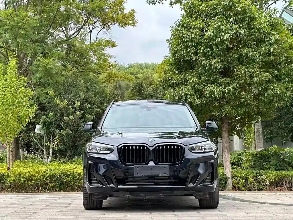 BMW X3 — фото 9