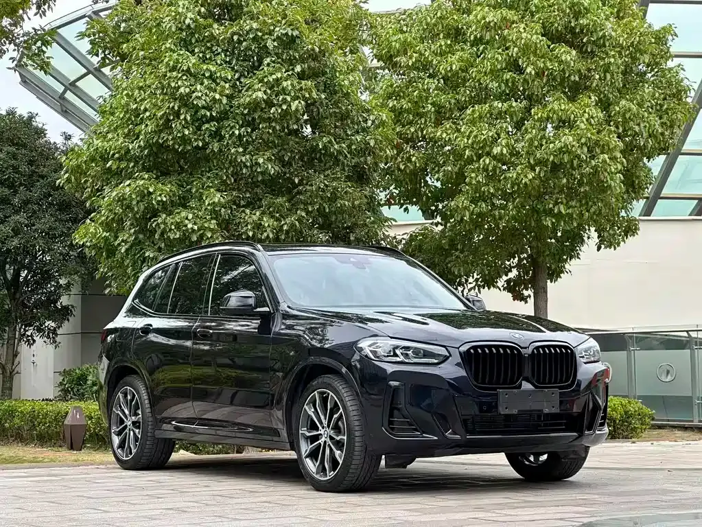 BMW X3 — фото 10