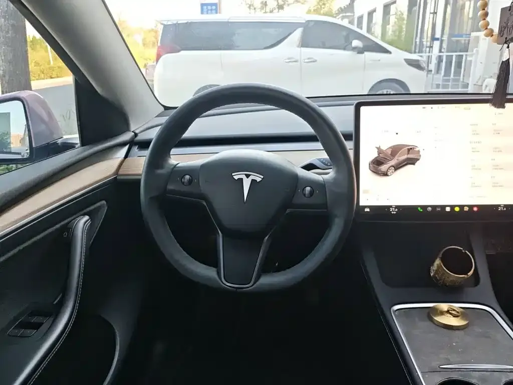 Tesla Model Y — фото 10