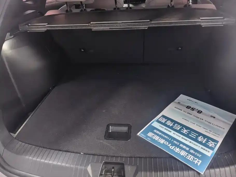 BYD Pro New Energy — фото 3