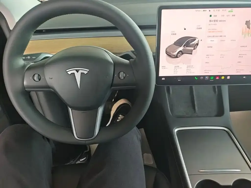 Tesla Model Y — фото 9