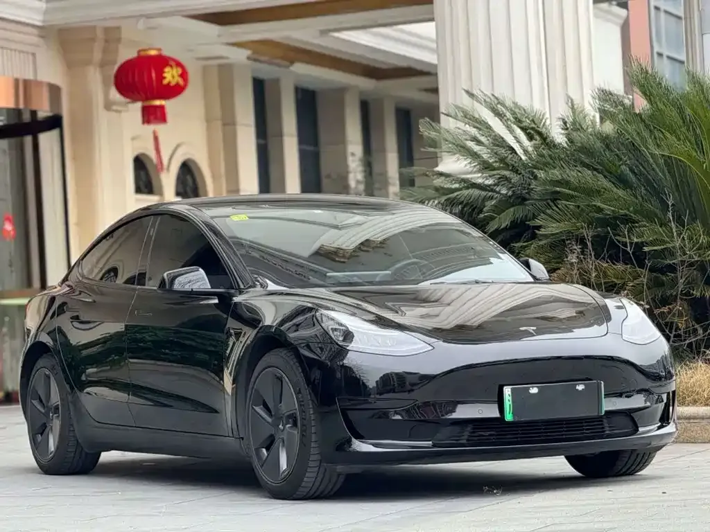 Tesla Model 3 — фото 2