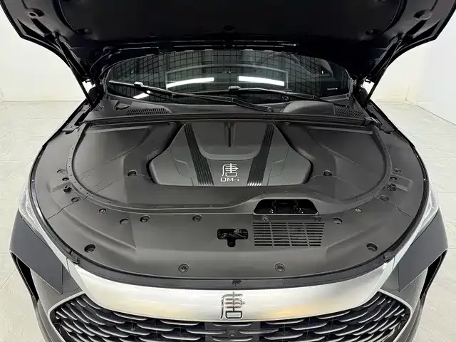 BYD Tang New Energy — фото 10