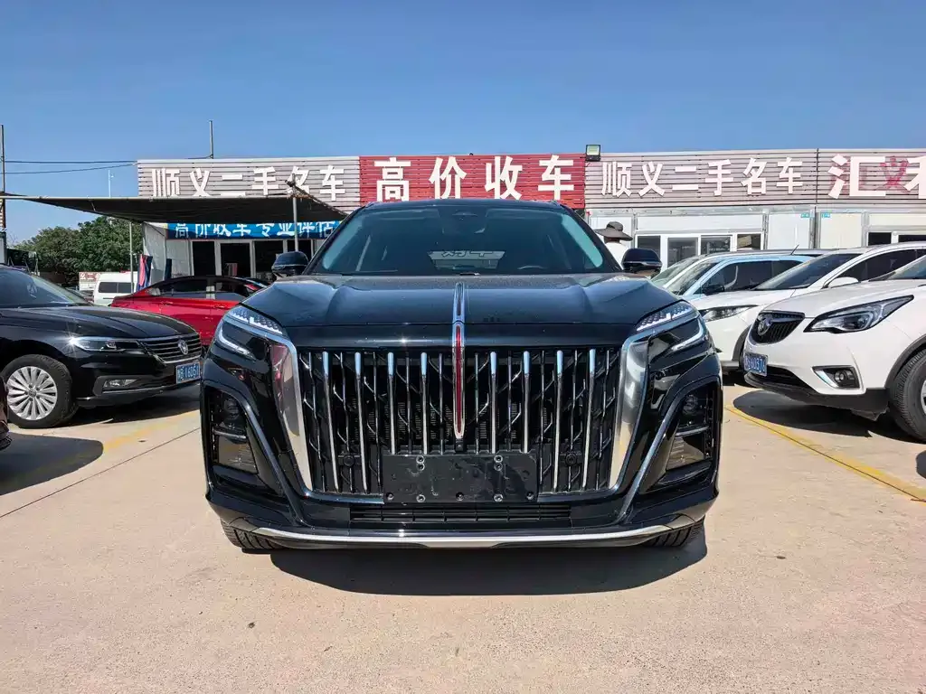 Hongqi HS3 PHEV — фото 6