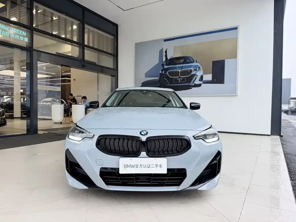BMW 2 Series (Import) — фото 6