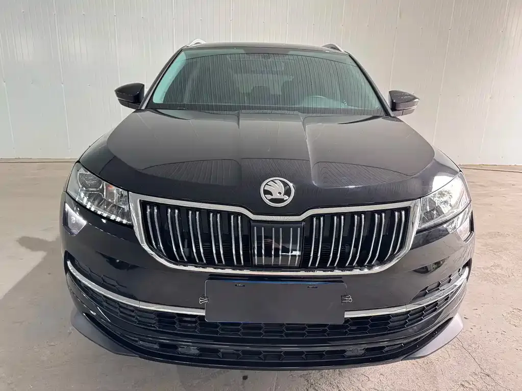 Skoda Karoq — фото 4