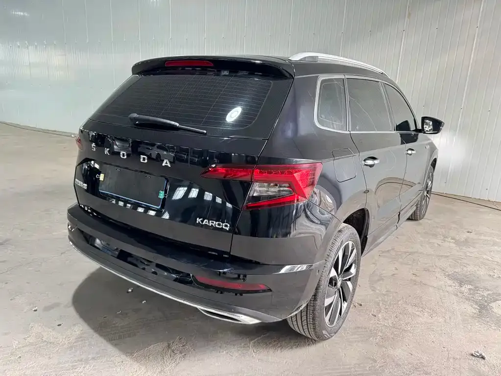 Skoda Karoq — фото 9