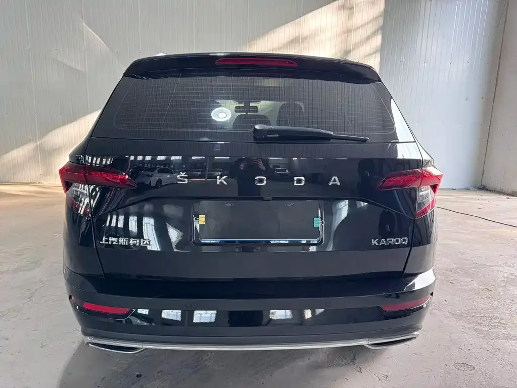 Skoda Karoq — фото 8