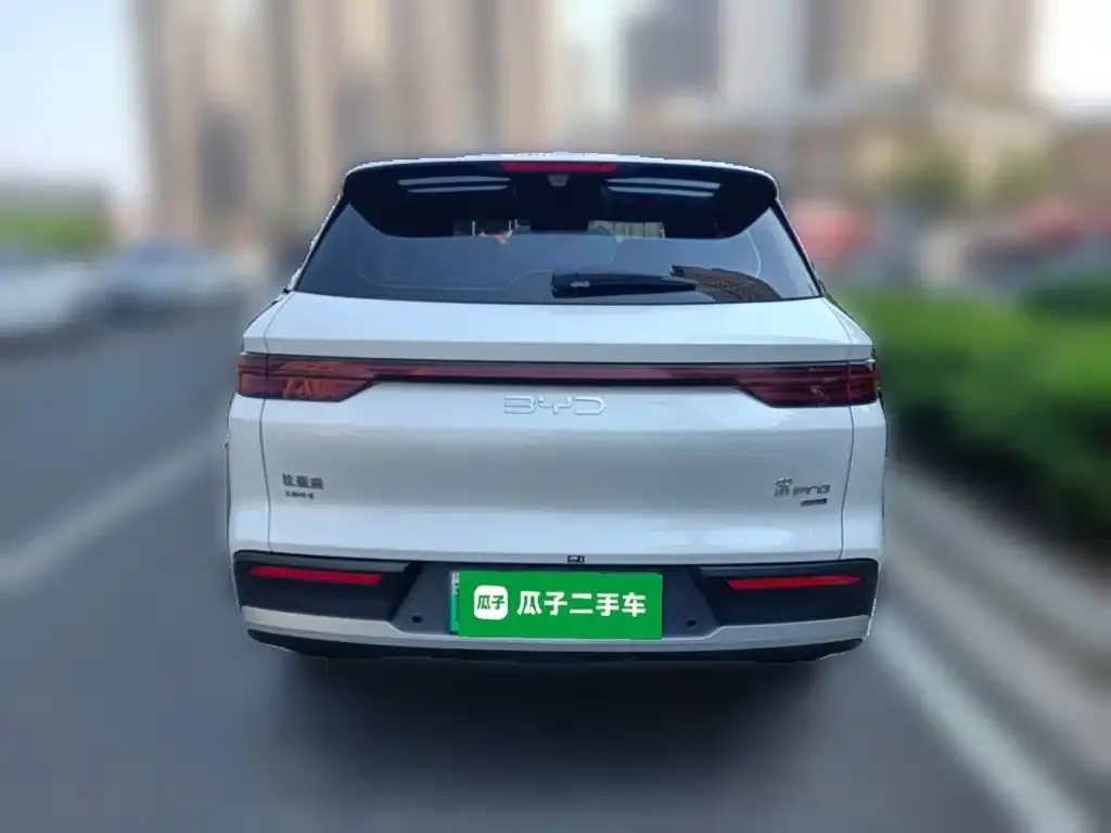 BYD Pro New Energy — фото 7
