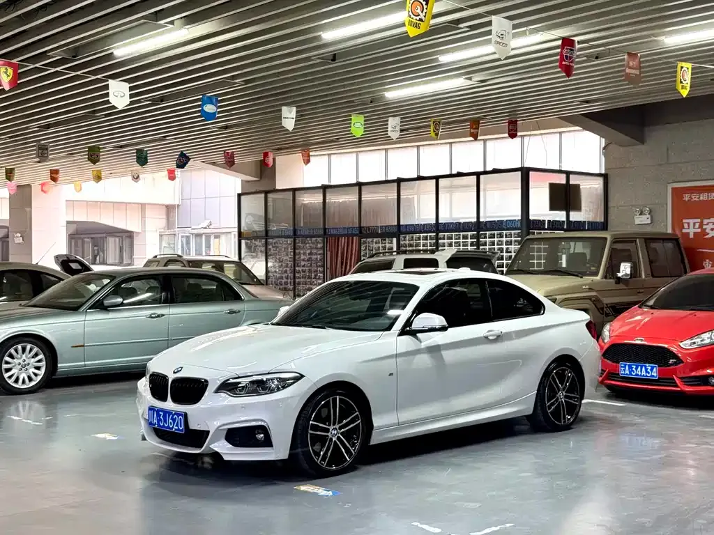 BMW 2 Series (Import) — фото 1