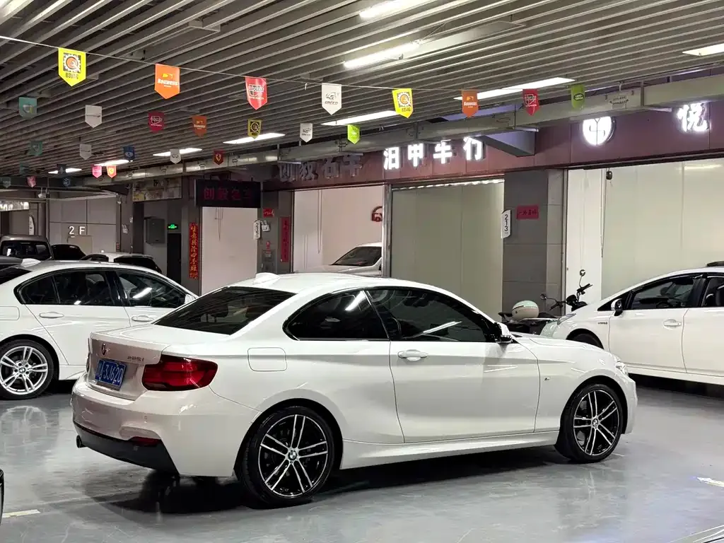 BMW 2 Series (Import) — фото 9