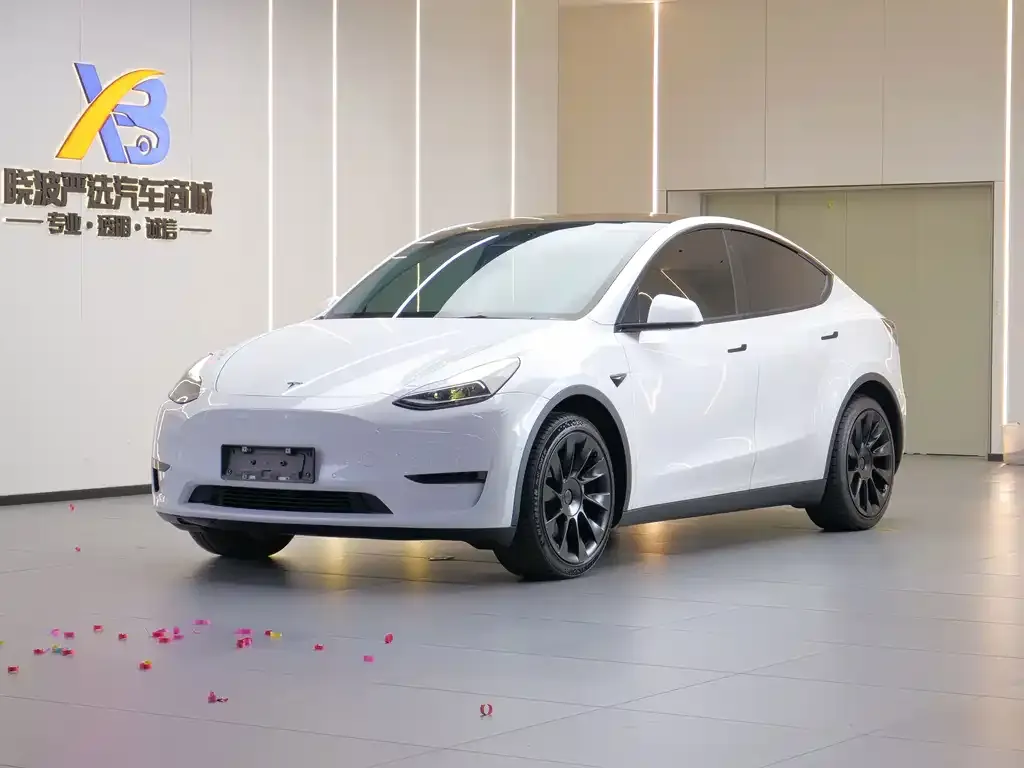 Tesla Model Y — фото 1