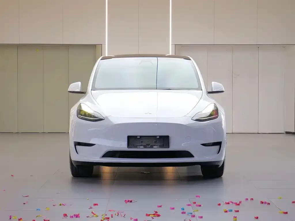 Tesla Model Y — фото 2