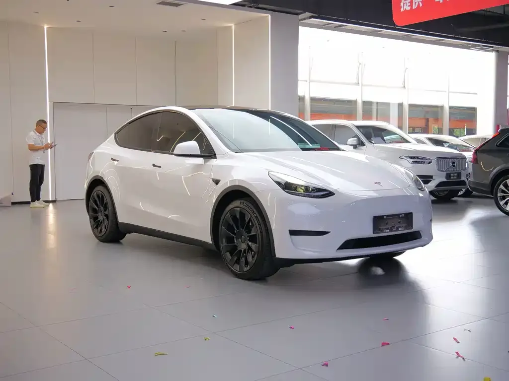 Tesla Model Y — фото 10
