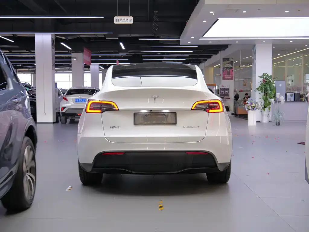 Tesla Model Y — фото 6