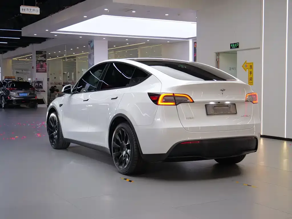 Tesla Model Y — фото 9