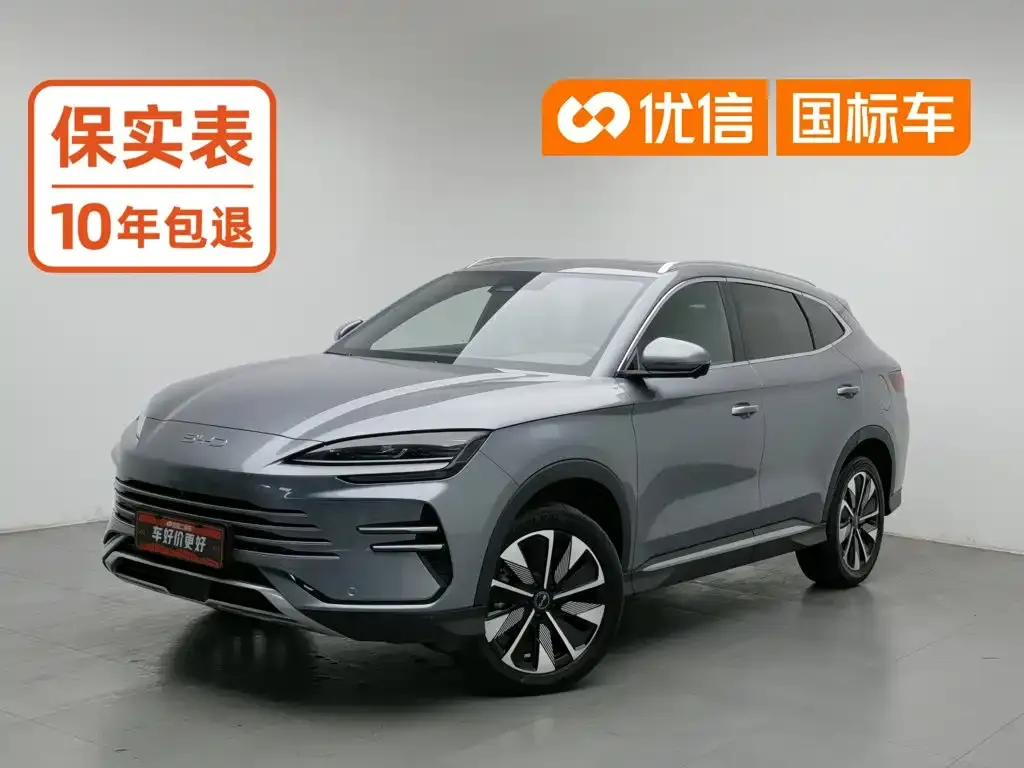 BYD PLUS New Energy — фото 1