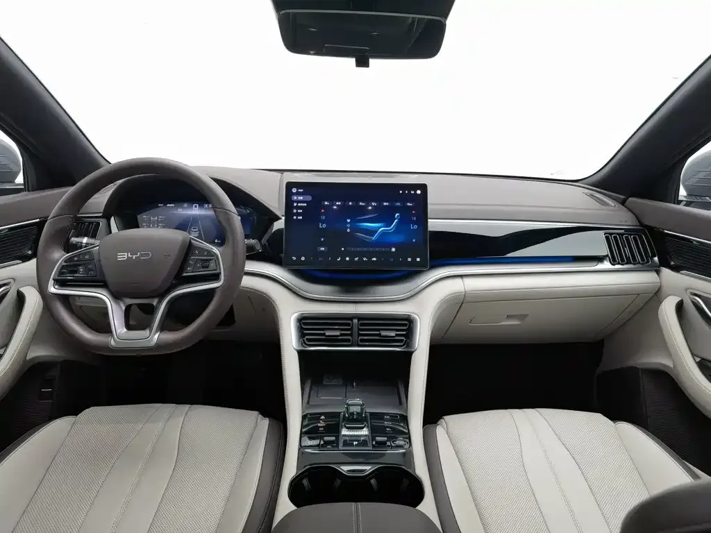 BYD PLUS New Energy — фото 6