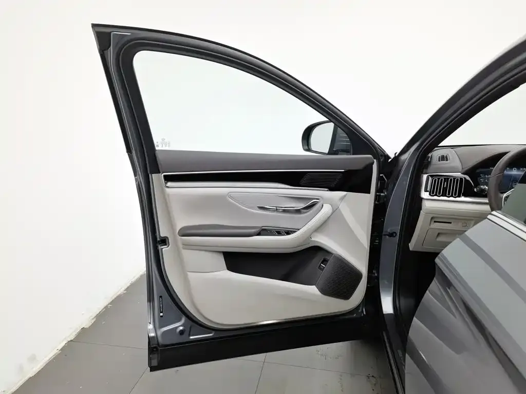BYD PLUS New Energy — фото 10