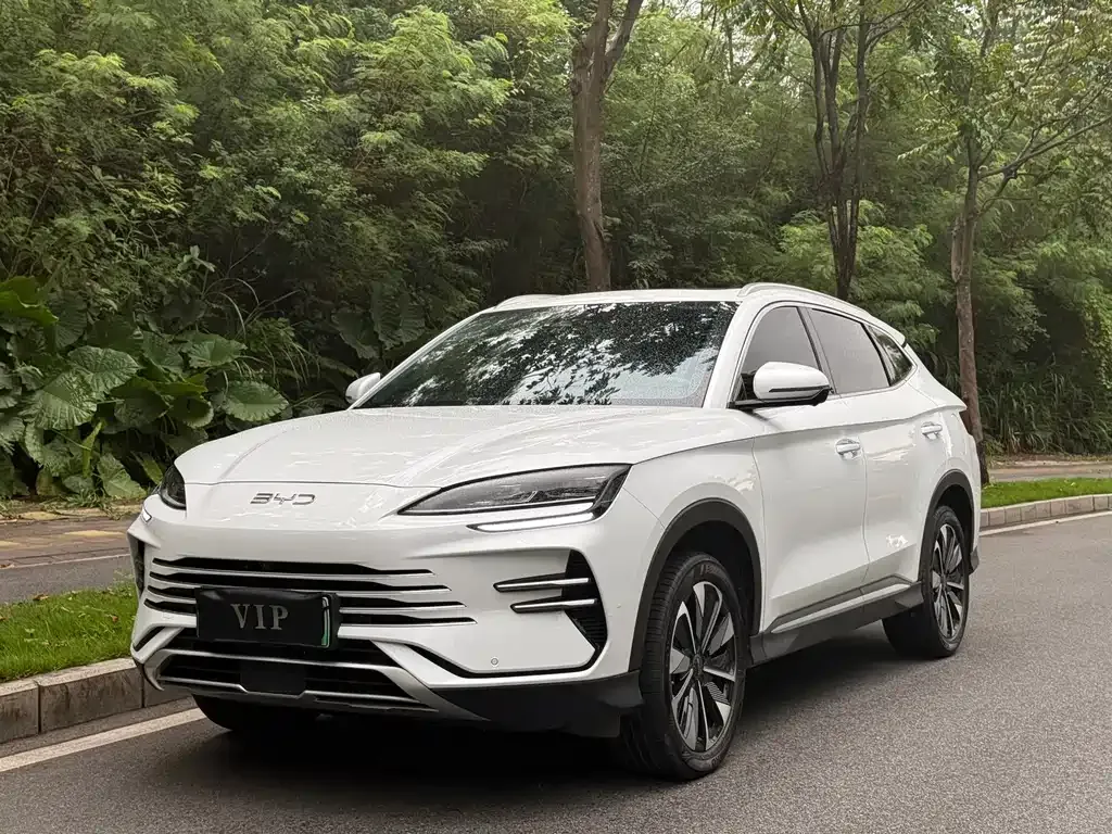 BYD PLUS New Energy — фото 1