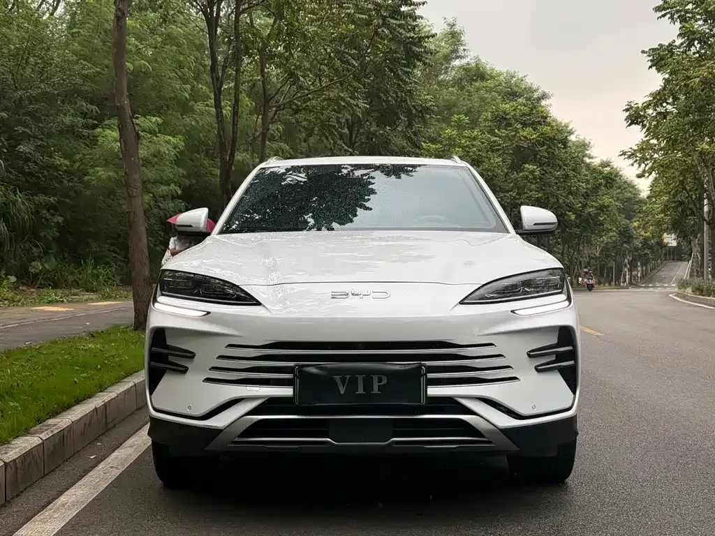 BYD PLUS New Energy — фото 5