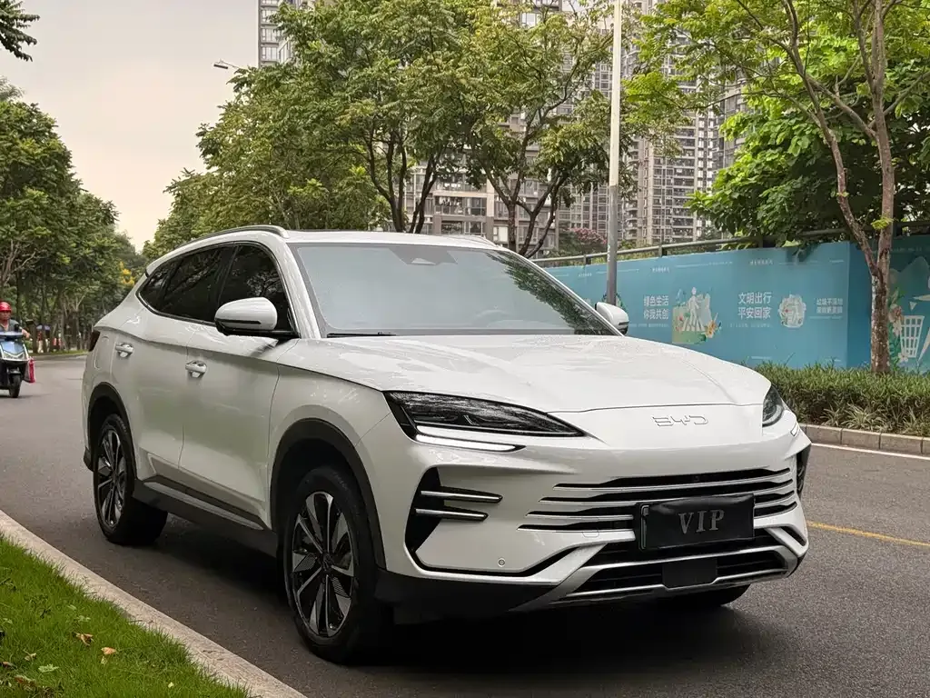 BYD PLUS New Energy — фото 10