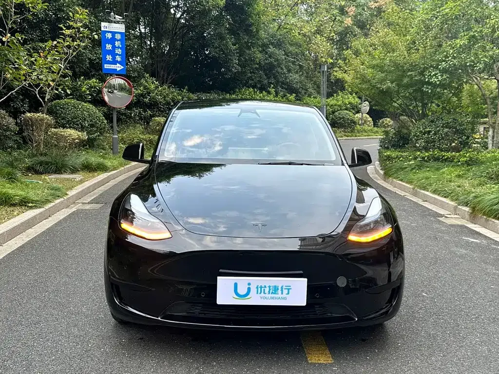 Tesla Model Y — фото 10