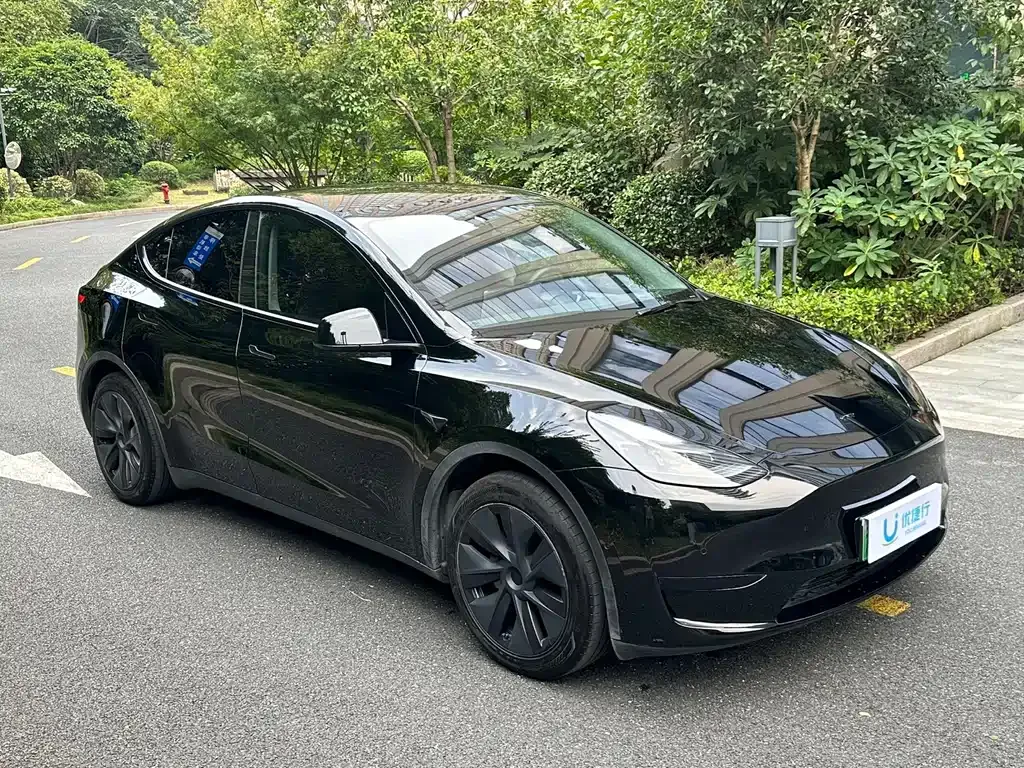 Tesla Model Y — фото 9