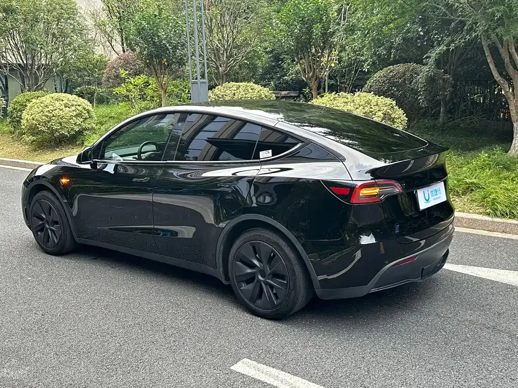 Tesla Model Y — фото 5