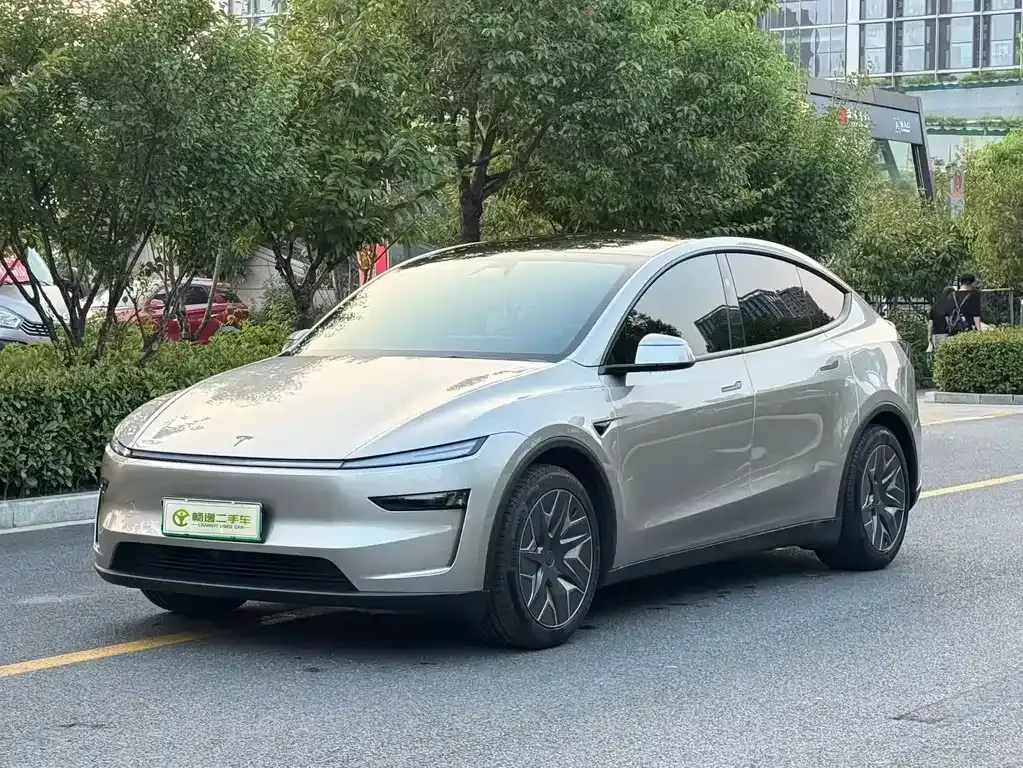 Tesla Model Y L — фото 1