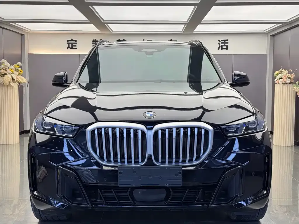 BMW X5 — фото 10