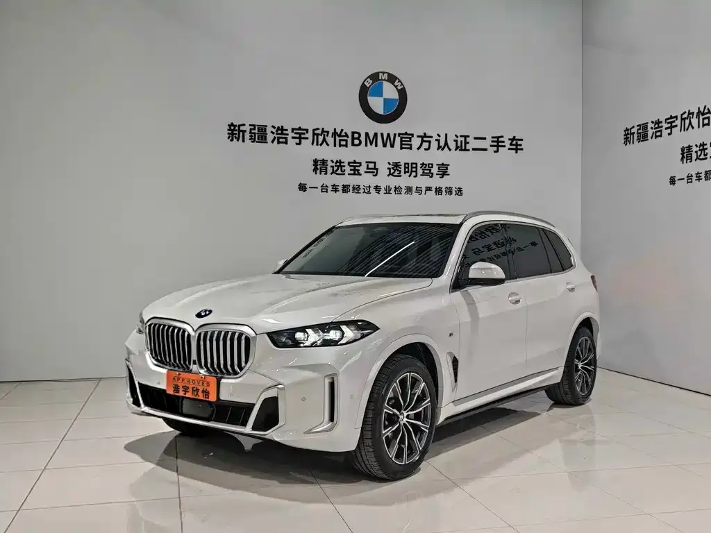 BMW X5 — фото 1