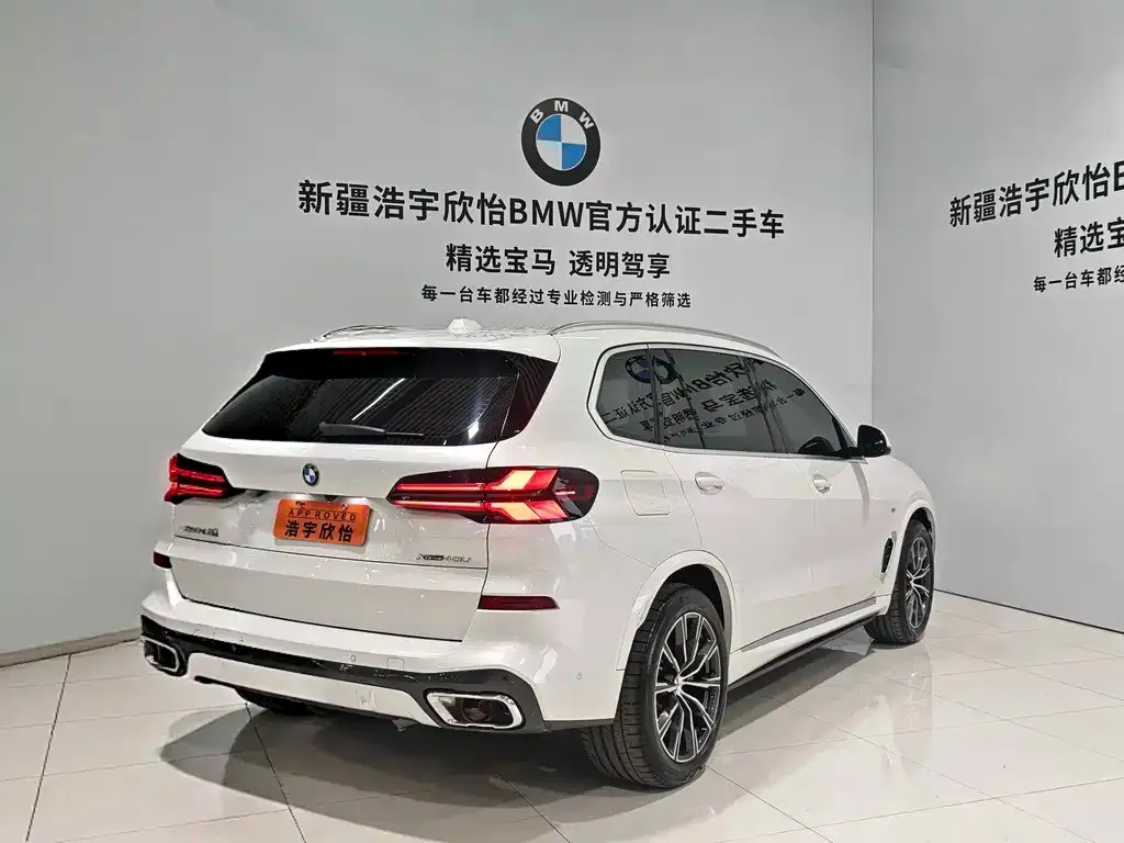 BMW X5 — фото 10