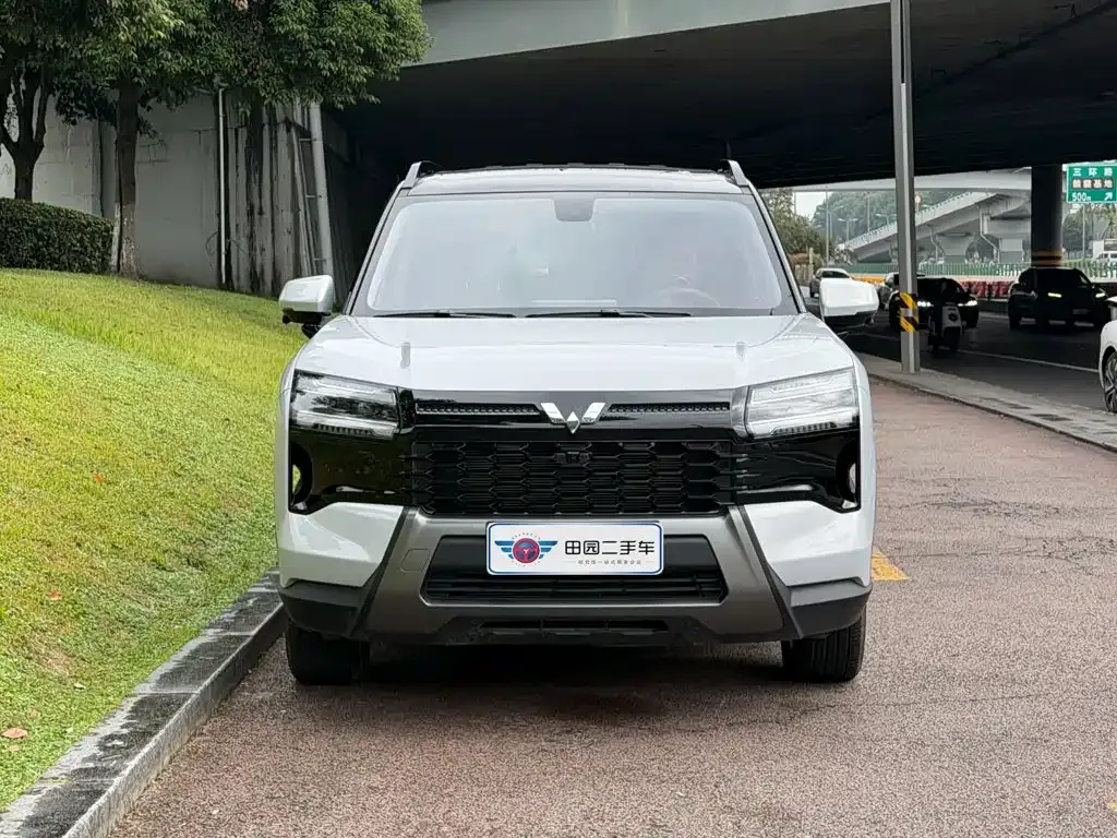 Wuling Xingguang 560 New Energy — фото 10