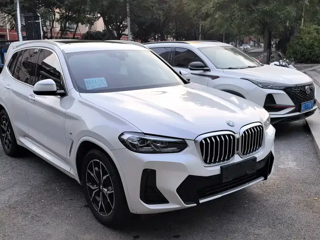 BMW X3 — фото 1