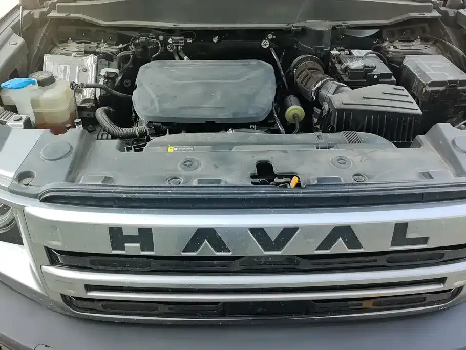 Haval Big Dog — фото 4