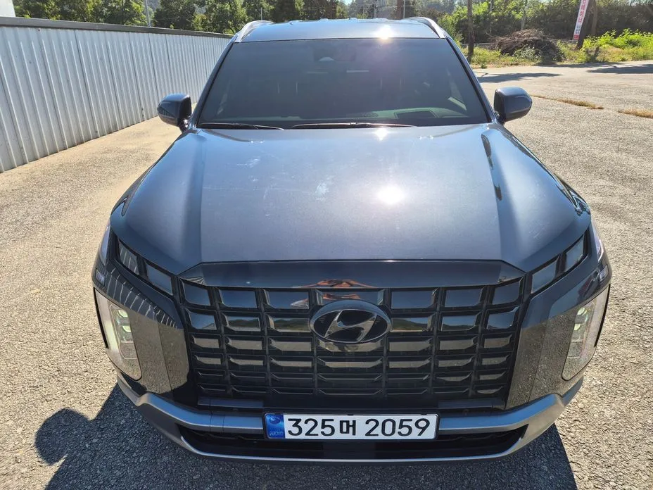 Hyundai Palisade — фото 8