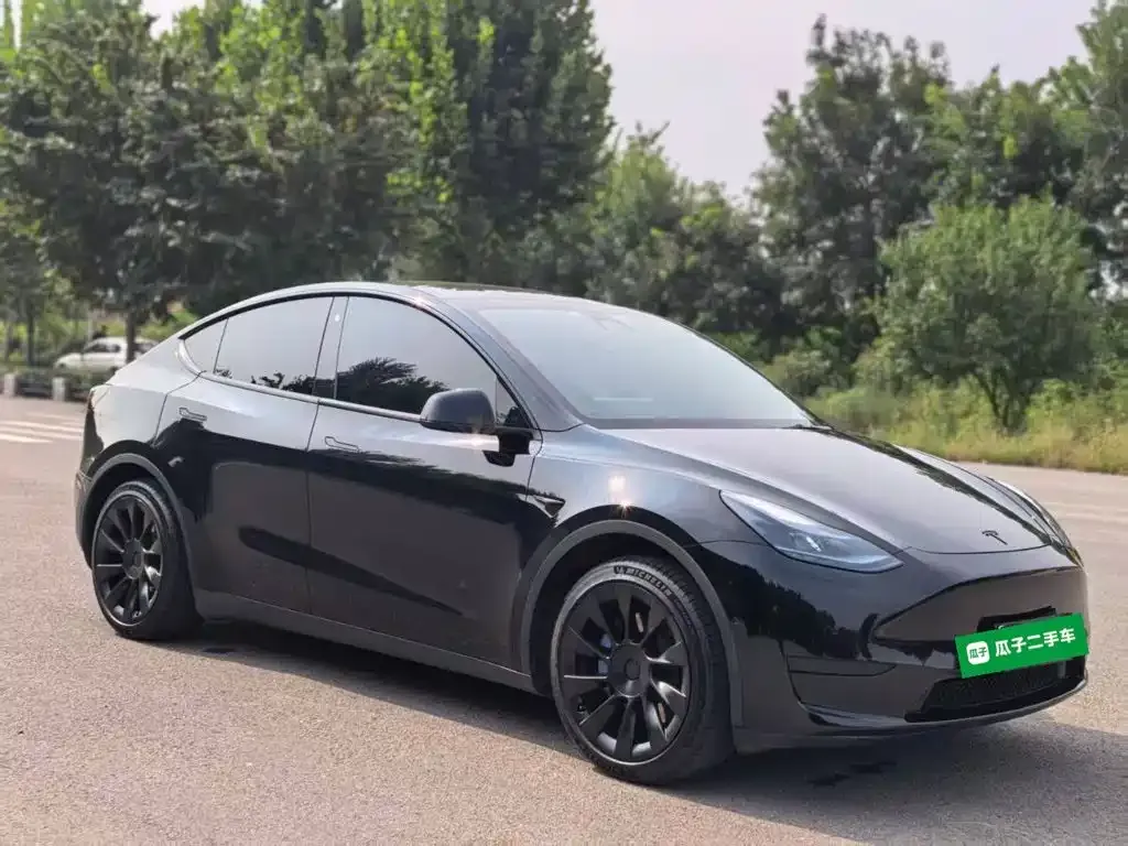 Tesla Model Y — фото 5