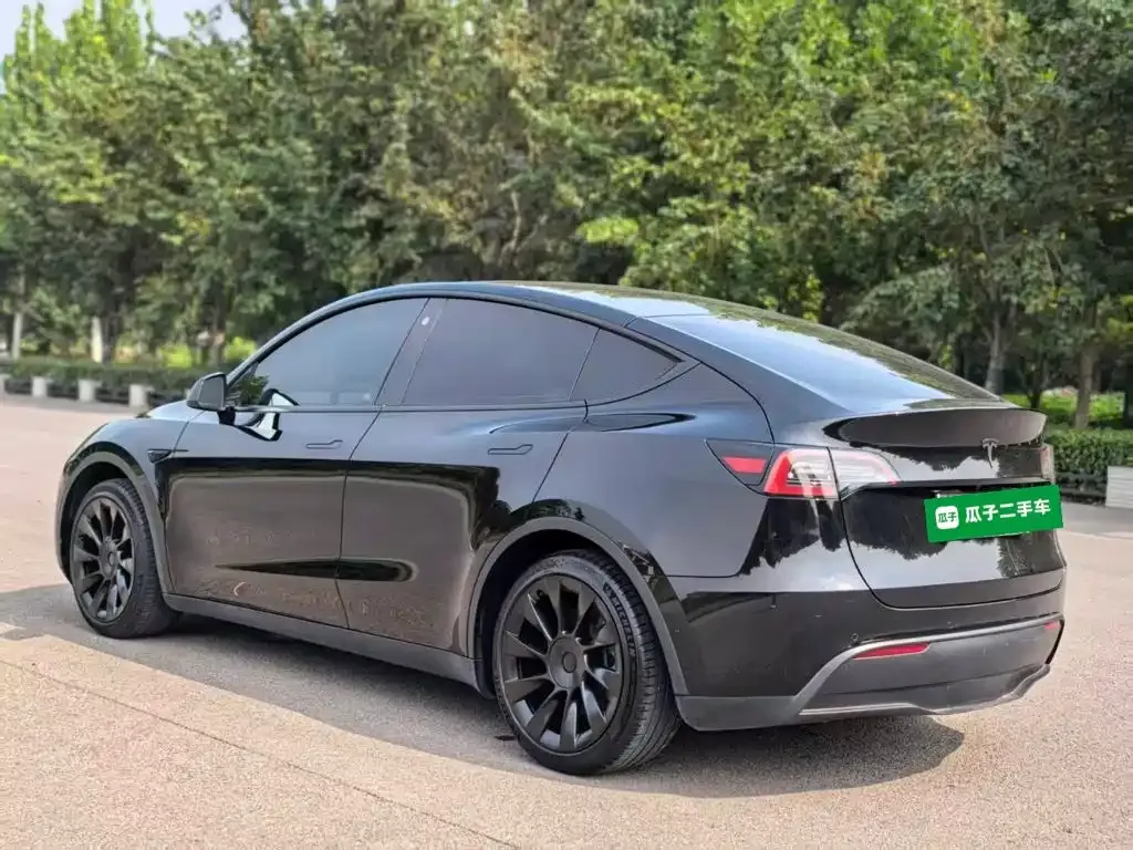 Tesla Model Y — фото 9