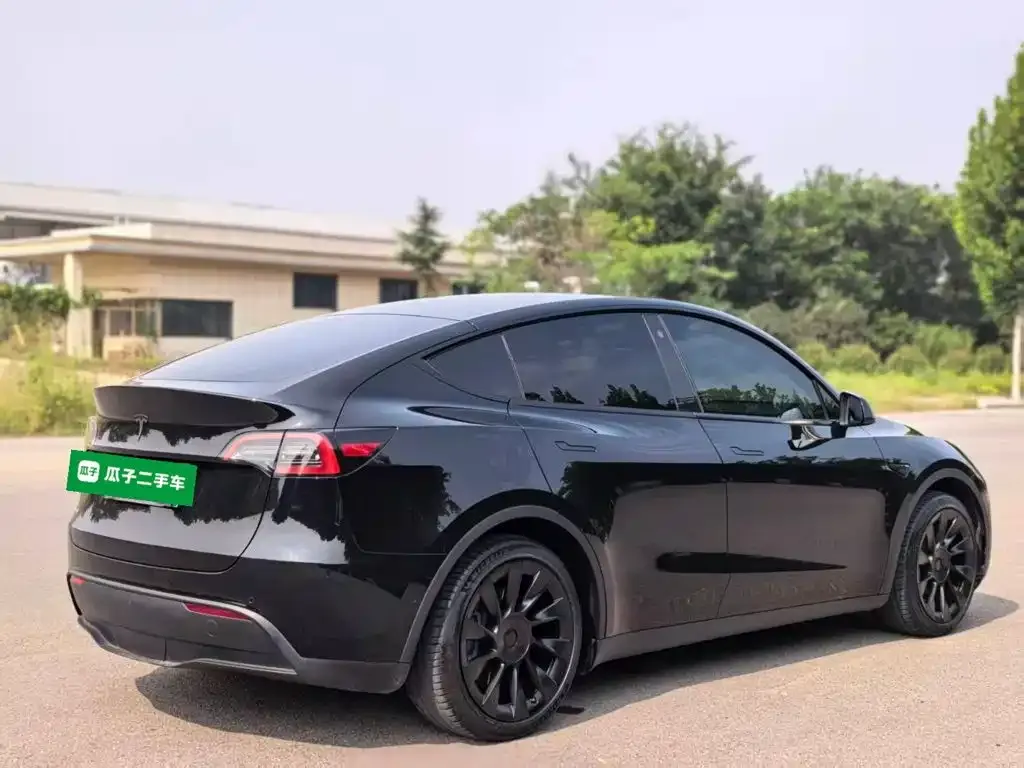 Tesla Model Y — фото 2