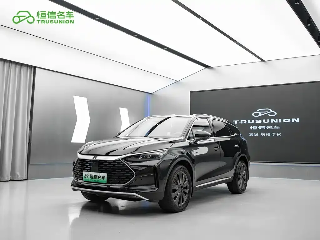 BYD Tang New Energy — фото 1