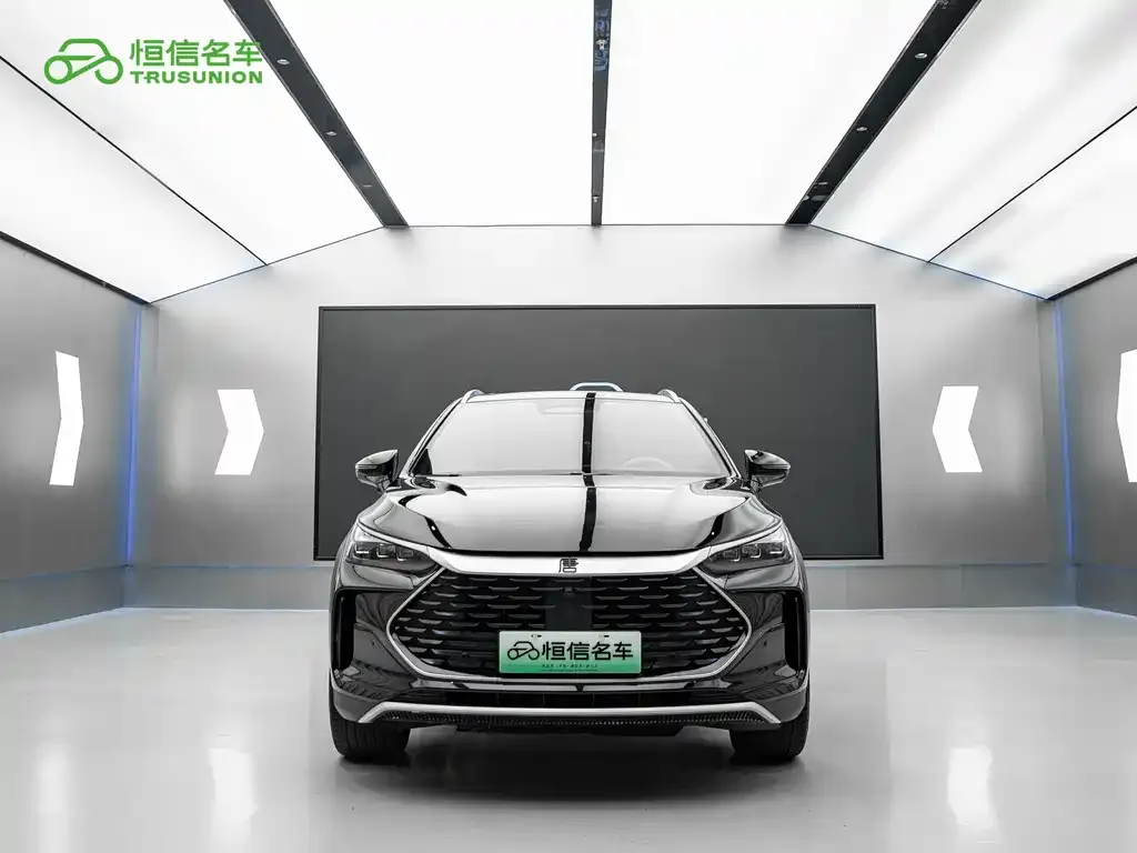 BYD Tang New Energy — фото 5
