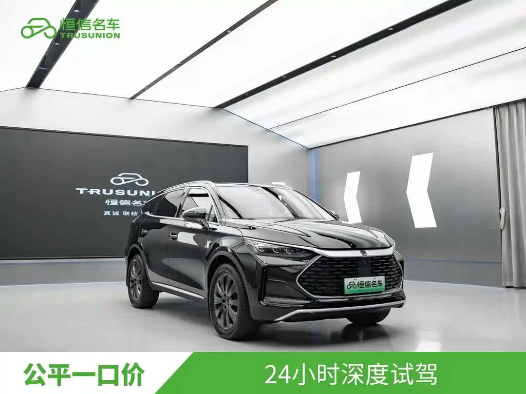 BYD Tang New Energy — фото 8